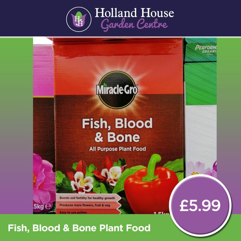 Fish, Blood & Bone Plant Food