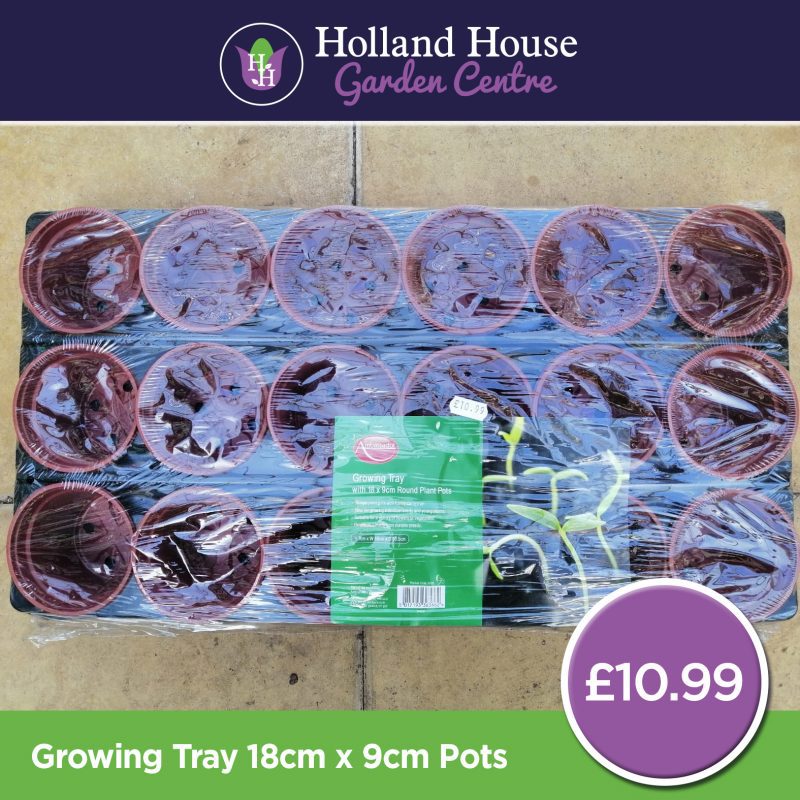 Growing Tray 18cm x 9cm Pots