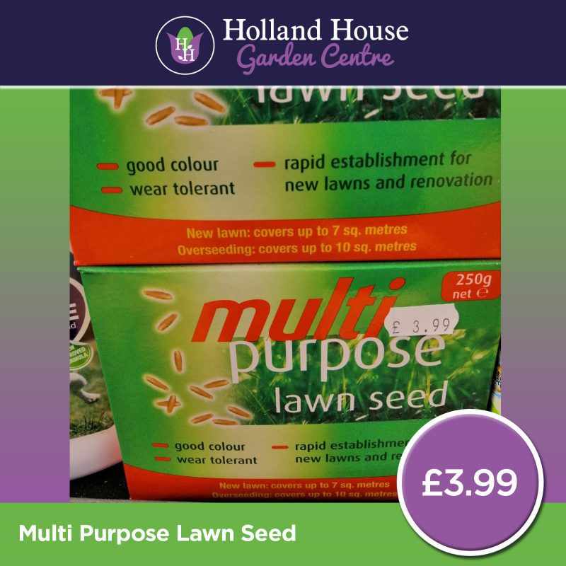 Multi Purpose Lawn Seed