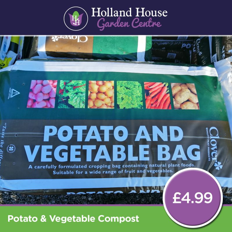 Potato & Veg Compost Holland House Garden Centre Preston