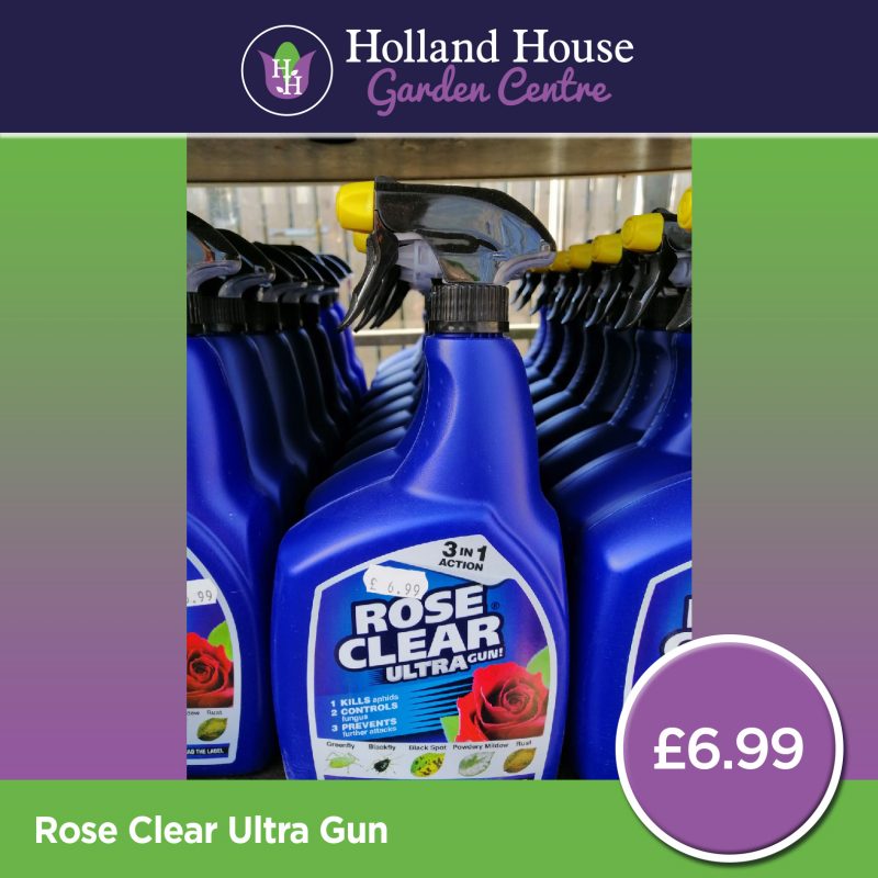 Rose Clear Ultra Gun