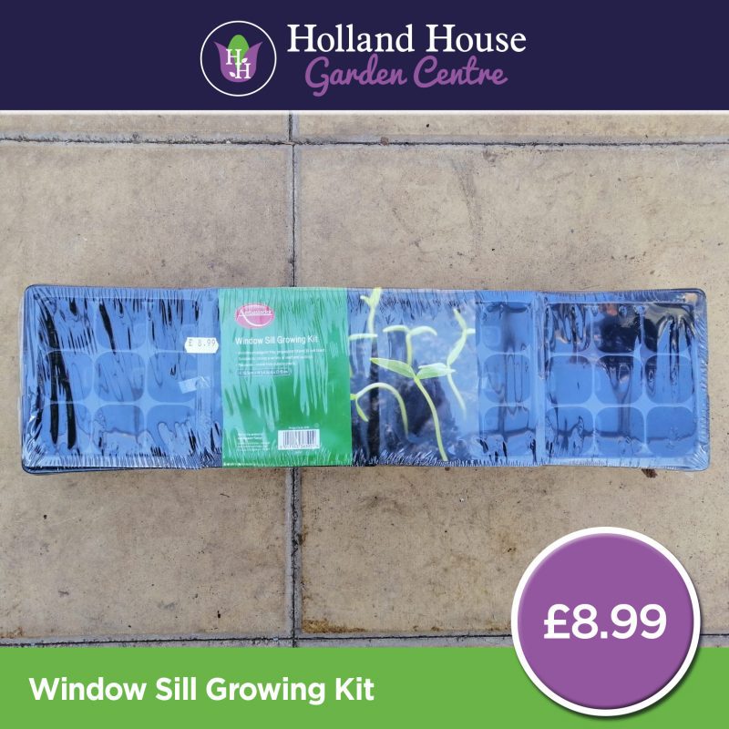 Holland House Window Sill Growing Kit