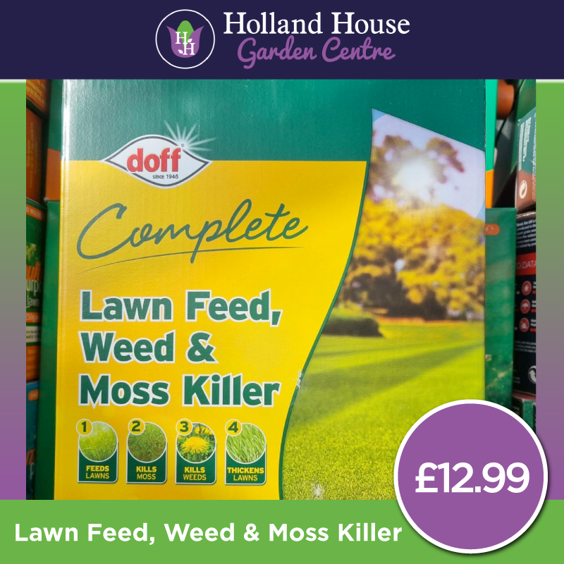 LawnFeed, Weed & Moss Killer Holland House Garden Centre Preston