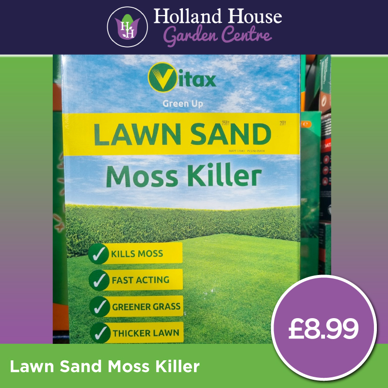 Lawn Sand Moss Killer Holland House Garden Centre Preston