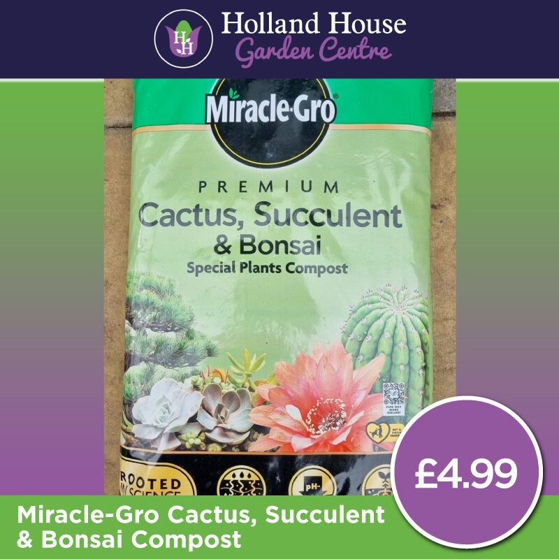 Miracle Gro Cactus, Succulent & Bonsai Compost