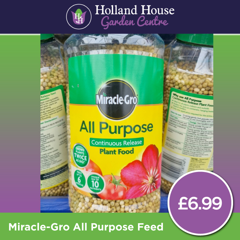 Miracle Gro All Purpose Feed