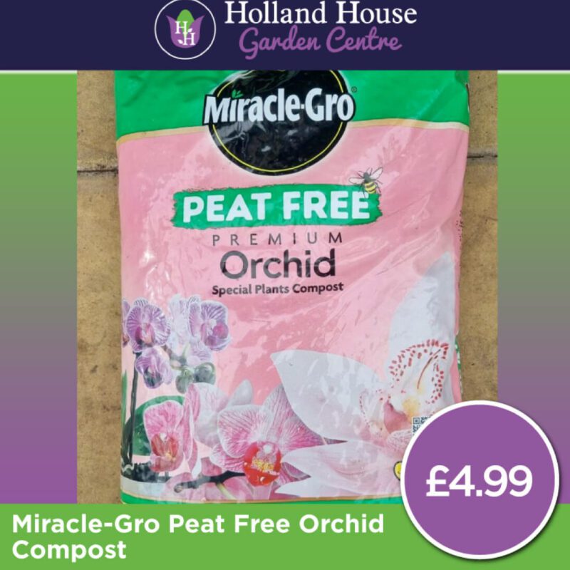 Miracle Gro Peat Free Orchid Compost