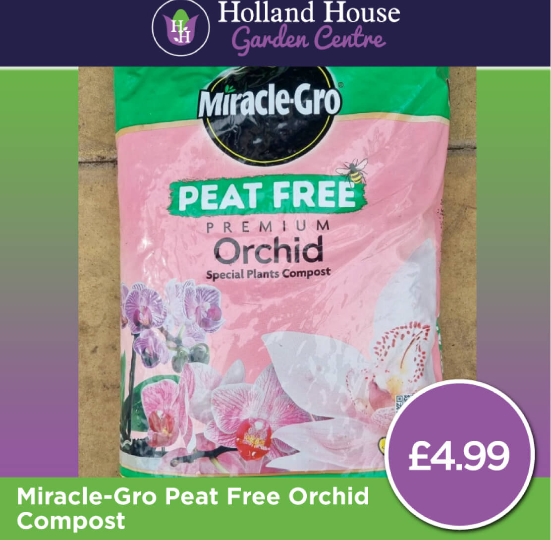 Miracle Gro Peat Free Orchid Compost Holland House Garden Centre Preston