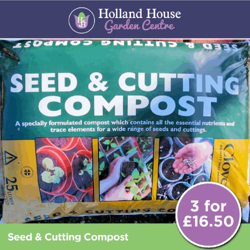 Seed & Cutting x 3