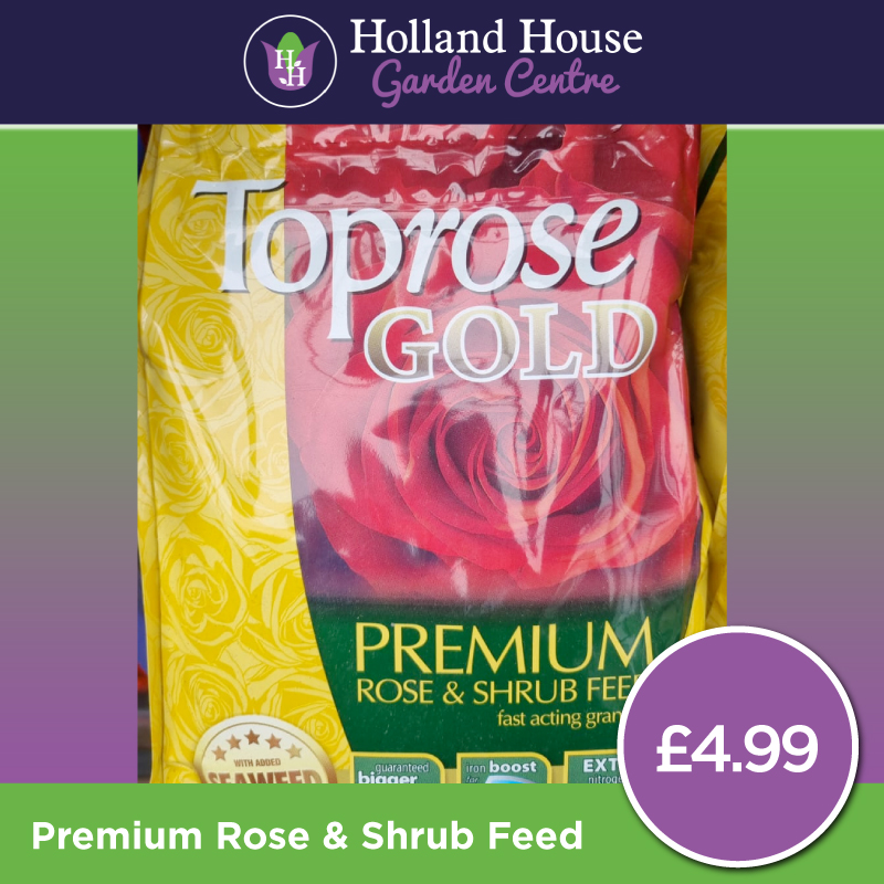 Top Rose Gold Premium Rose & Shrub Feed