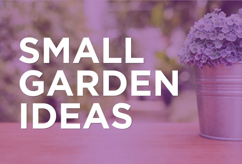 Best Small Garden Ideas - Holland House Garden Centre Preston