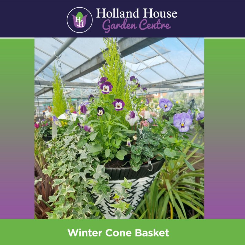 spring Cone Basket