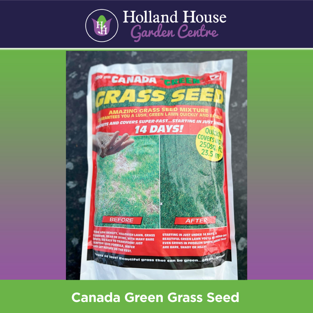 Canada Green Grass Seed Holland House Garden Centre Preston