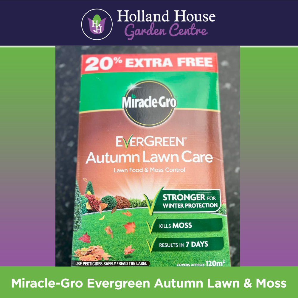 Miracle Gro Evergreen Autumn Lawn & Moss - Holland House Garden Centre ...