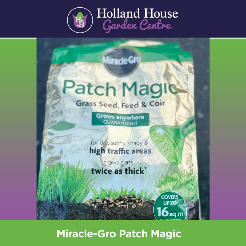 Miracle Gro Patch Magic