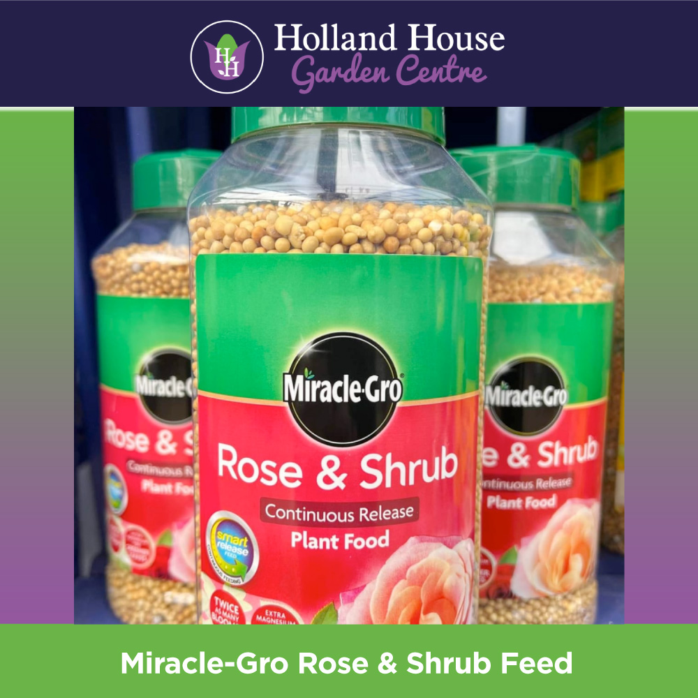 Miracle Gro Rose & Shrub Holland House Garden Centre Preston