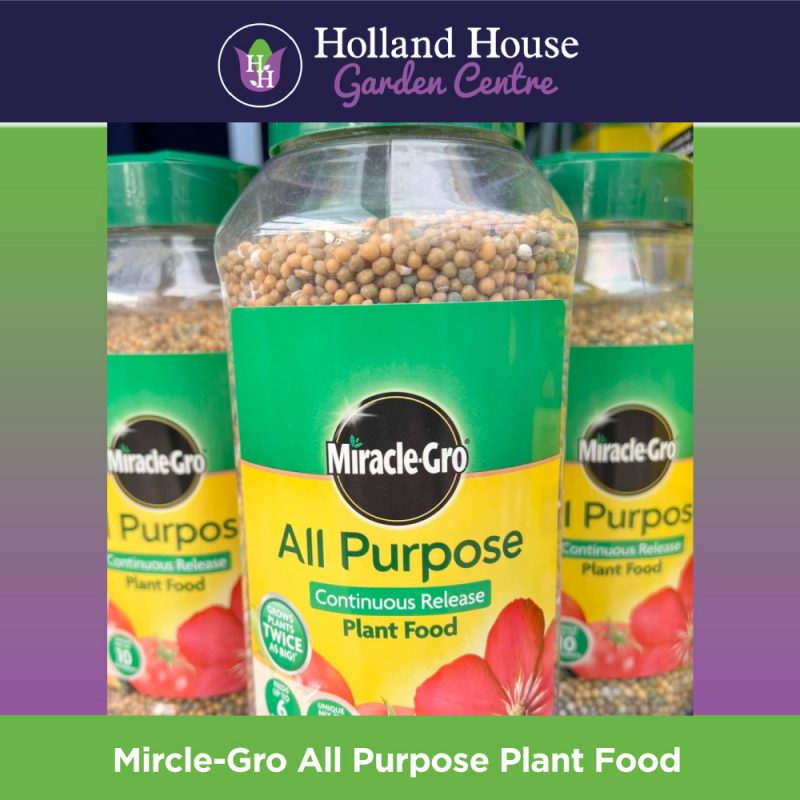 Miracle Gro All Purpose Plant Food