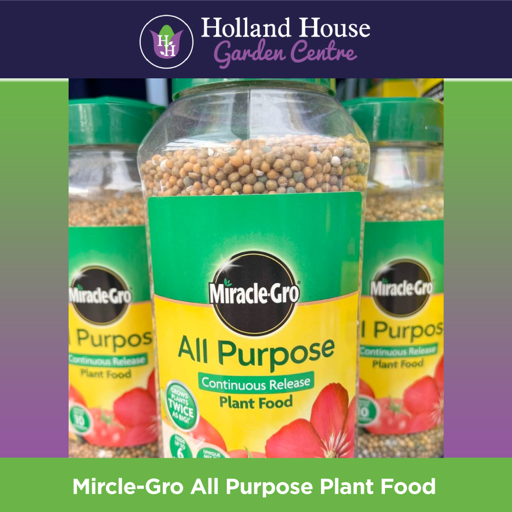 Miracle Gro All Purpose Plant Food - Holland House Garden Centre Preston