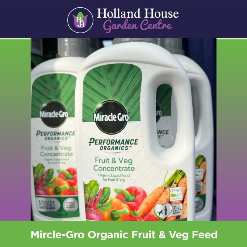 Miracle-Gro-Organic-Fruit-&-Veg-Feed