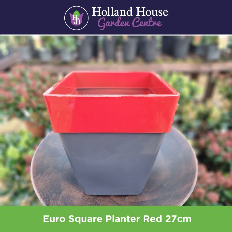Euro Square Planter Red 27cm