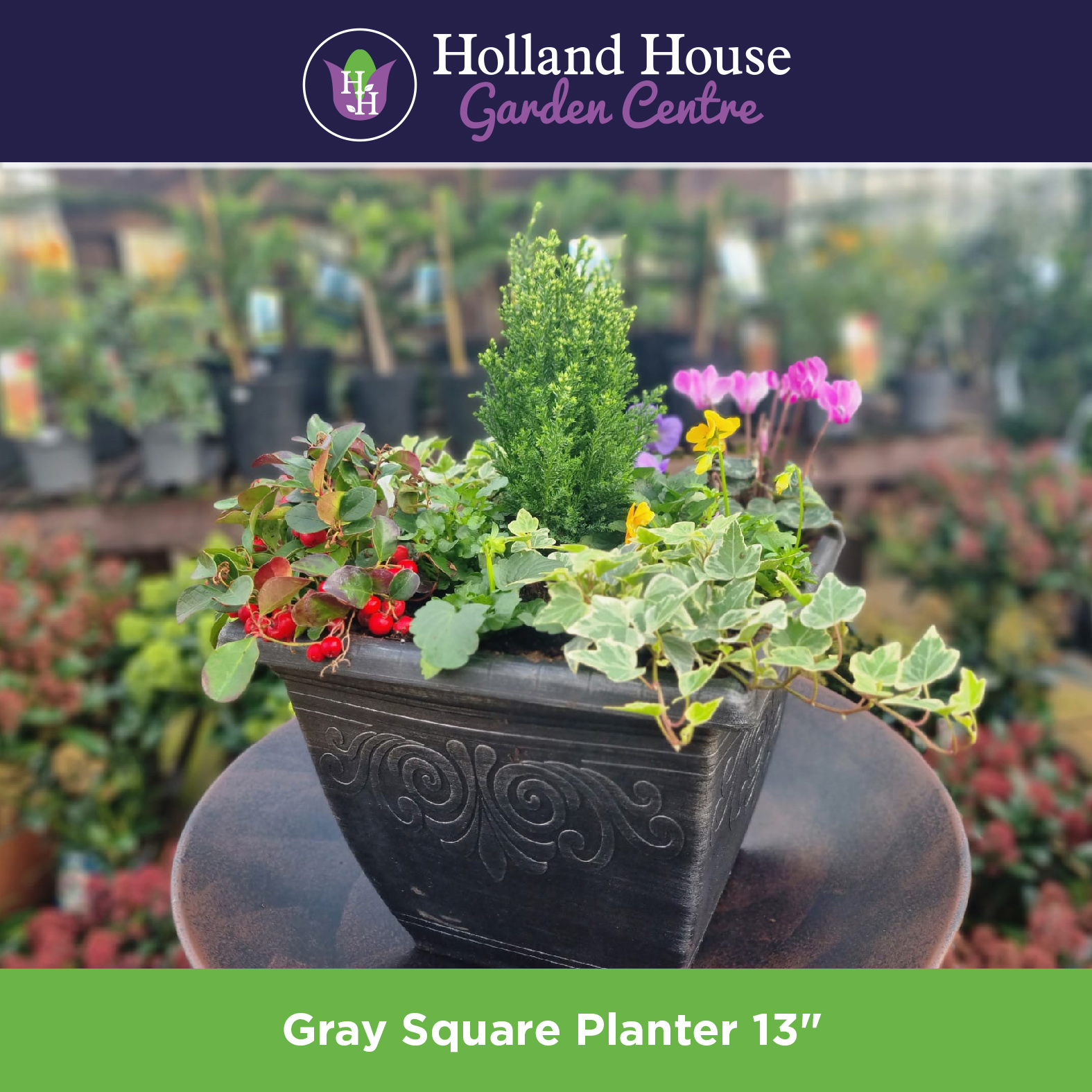 gray-square-planter-13-inch-holland-house-garden-centre-preston