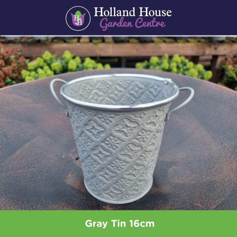 Gray Tin 16cm
