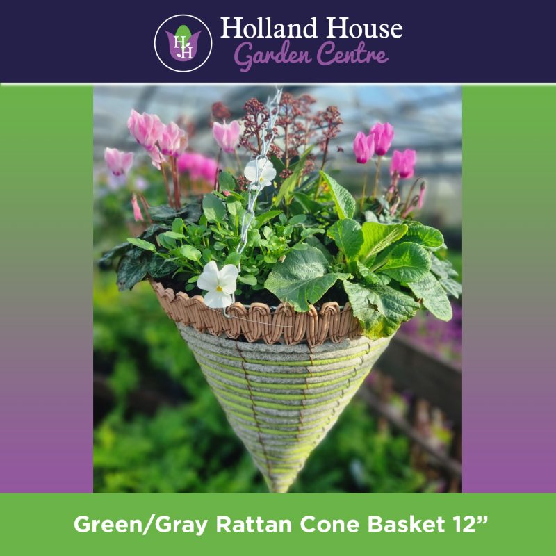 Green Gray Cone Basket 12 Inch