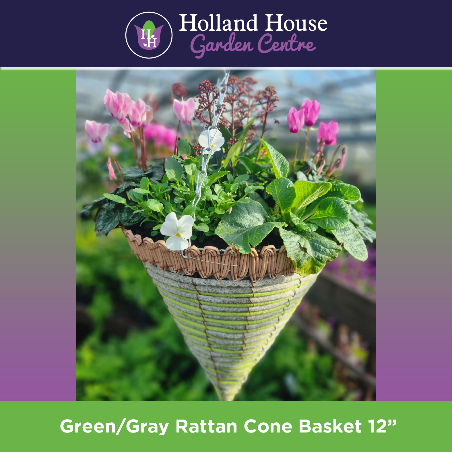 Green Gray Cone Basket 12 Inch Holland House Garden Centre Preston