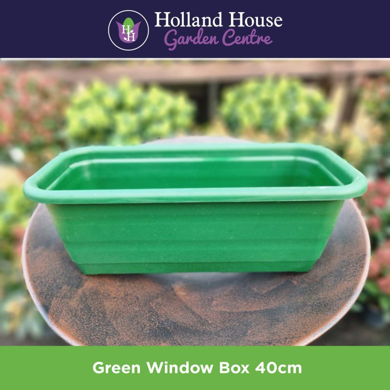 Green Window Box 40cm