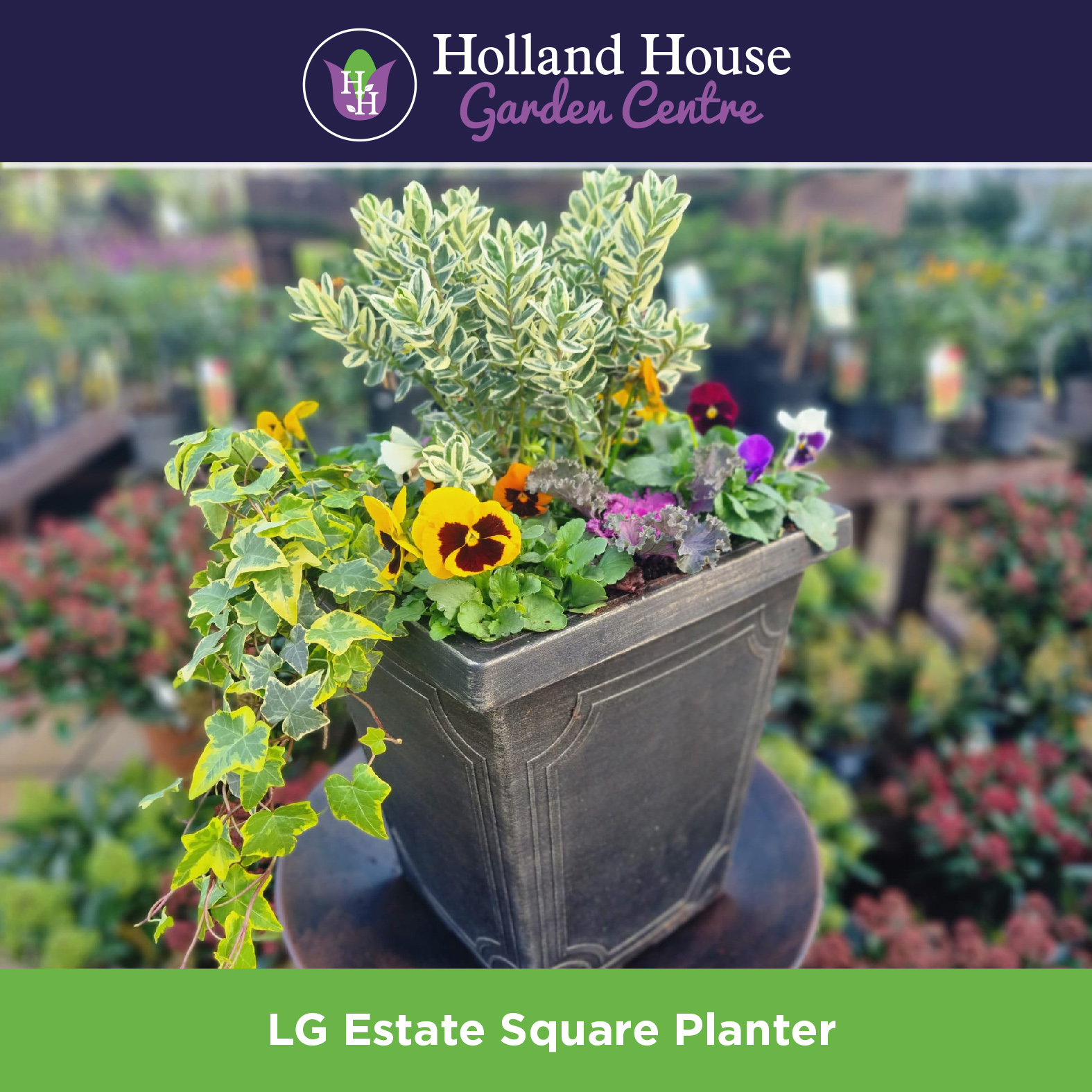 LG Estate Square Planter Holland House Garden Centre Preston