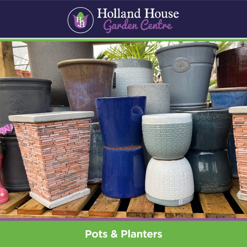 Pots & Planters