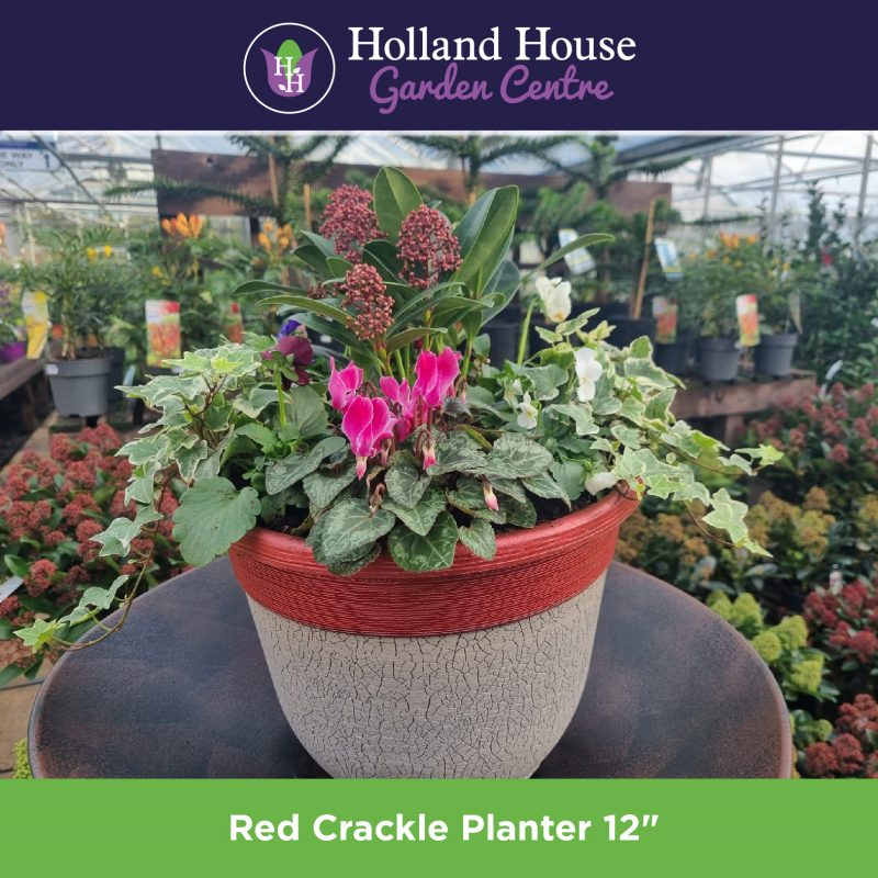 Red Crackle Planter 12 Inch