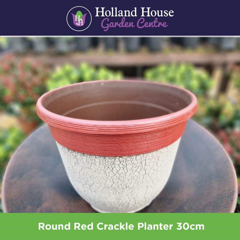 Round Red Crackle Planter 30cm