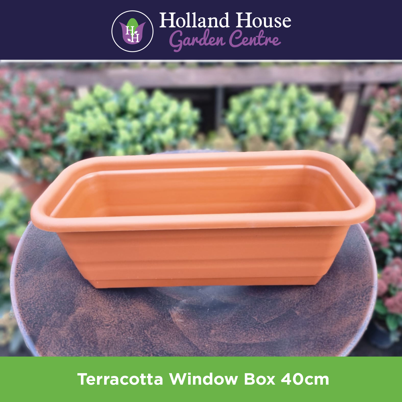 Terracotta Window Box 40cm Holland House Garden Centre Preston