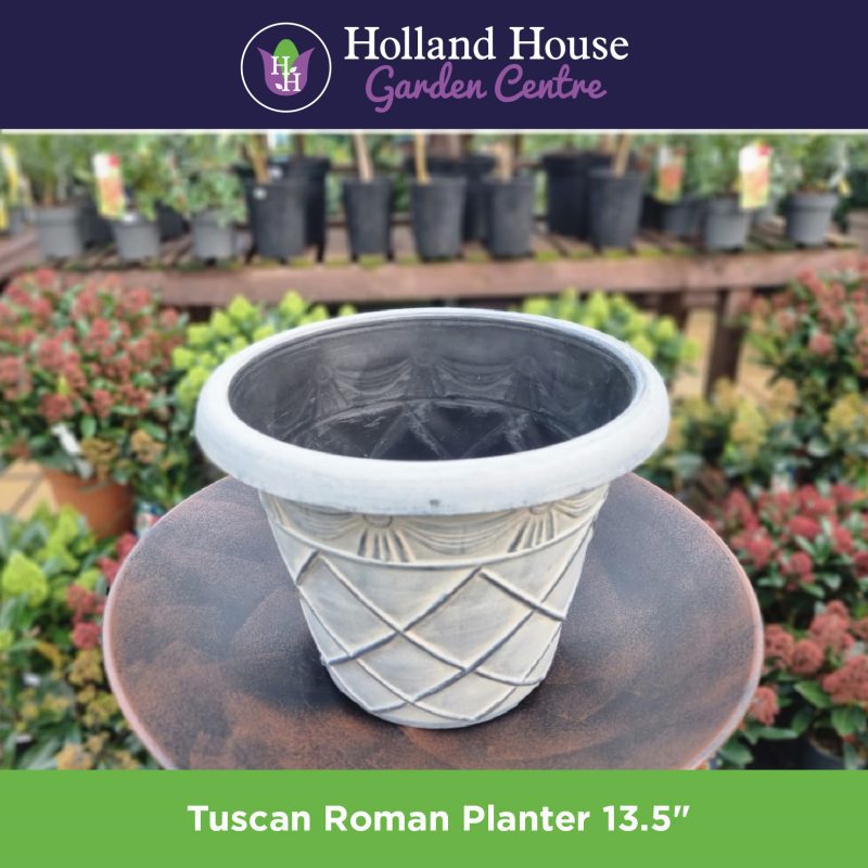Tuscan roman planter 13.5 inch