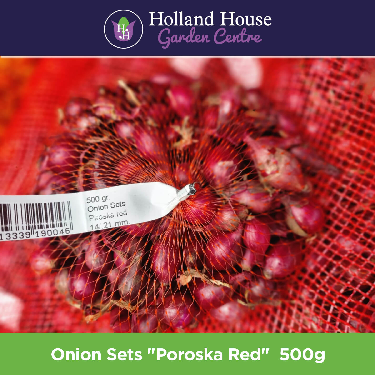 Onion Sets Poroska Red 500g Holland House Garden Centre Preston