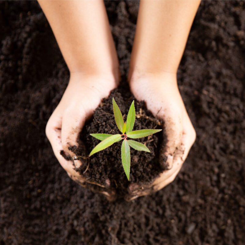 Compost & Aggregates