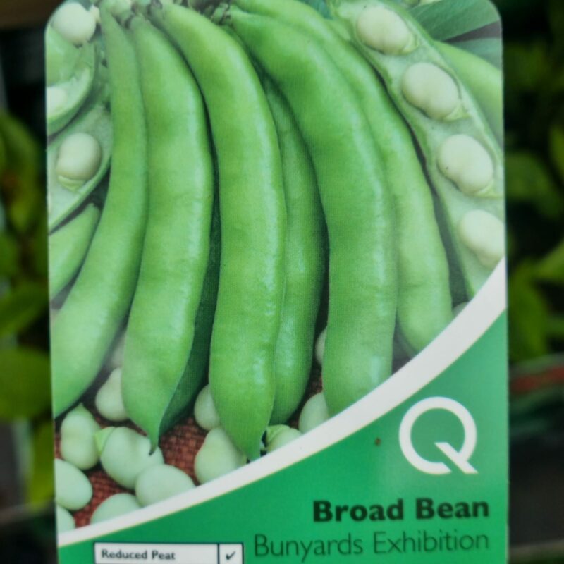Broad-Bean-Bunyards-Exhebition-Multi-Strip-Pack