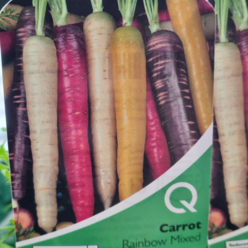 Carrot-Rainbow-Mixed-Multi-Strip-Pack