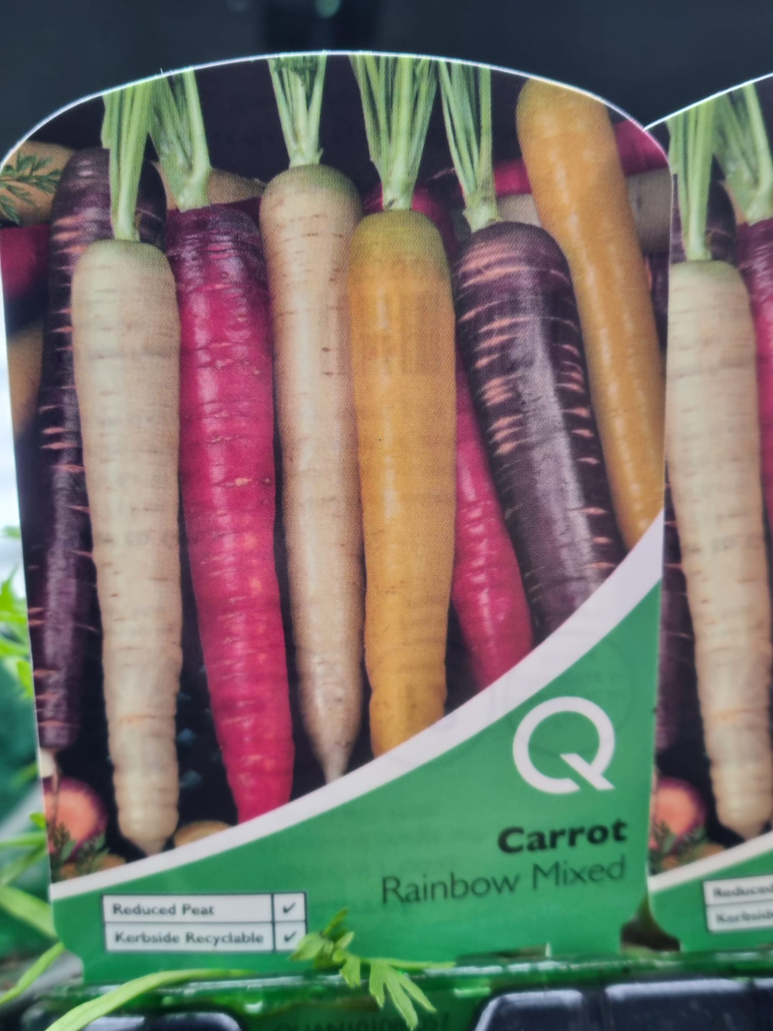 CarrotRainbowMixedMultiStripPack Holland House Garden Centre Preston