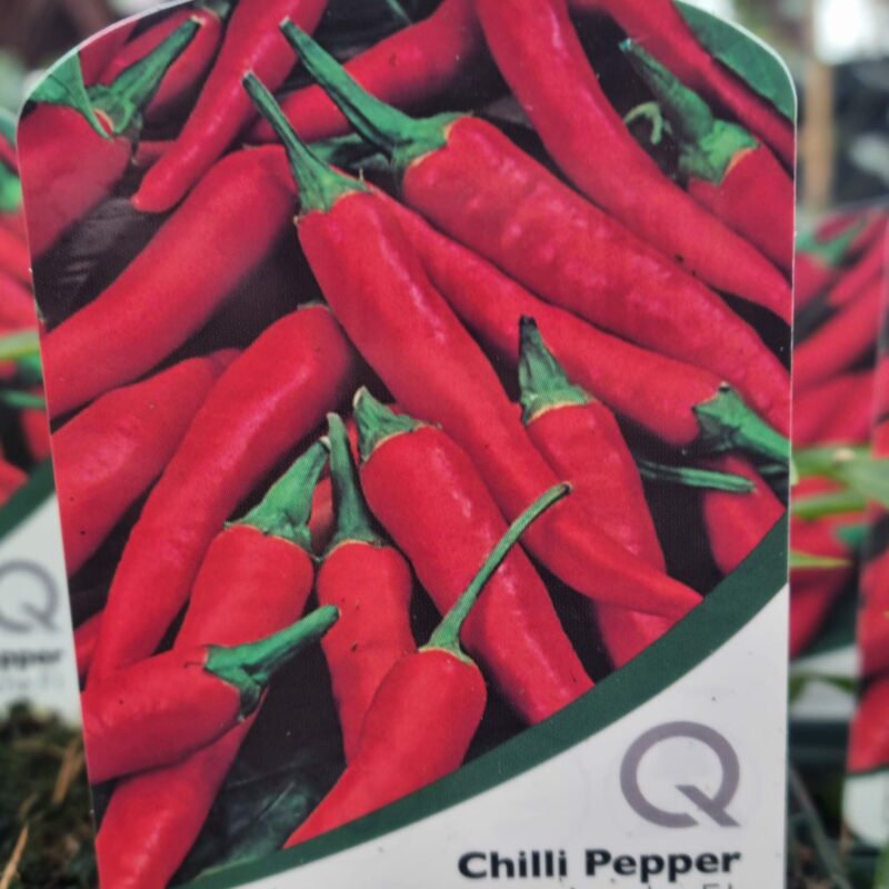 Chilli-Pepper-Apache-10cm