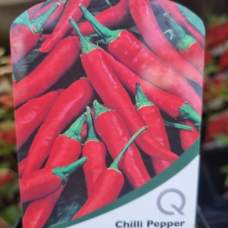 Chilli-Pepper-Apache-9-cm