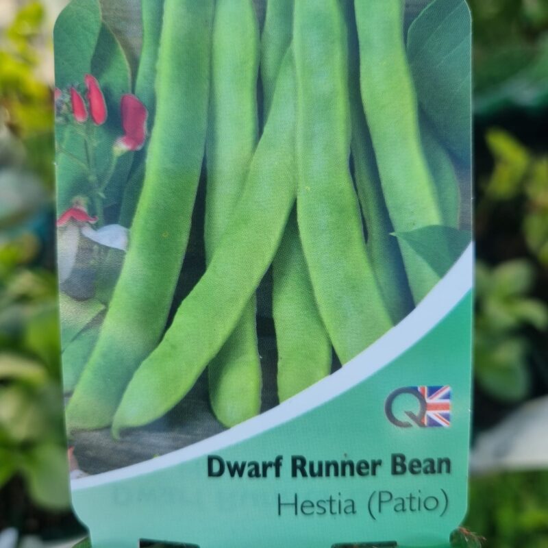 Dwarf-Runner-Bean-Hestia Multi Strip Pack
