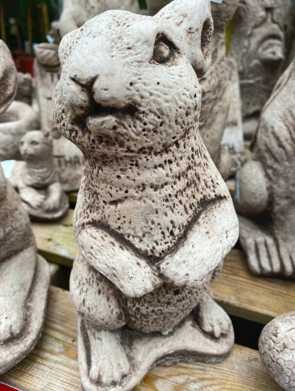 Rabbit