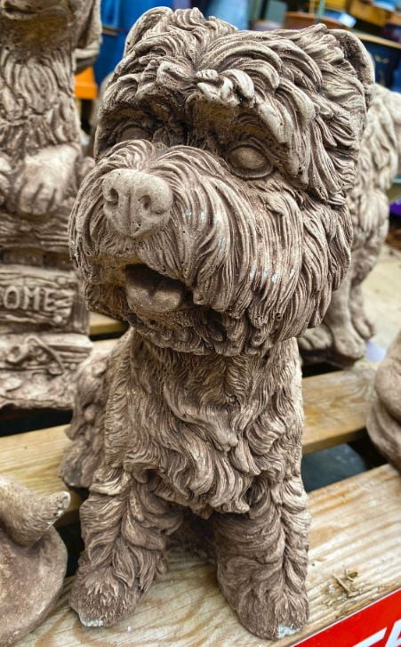 Dog