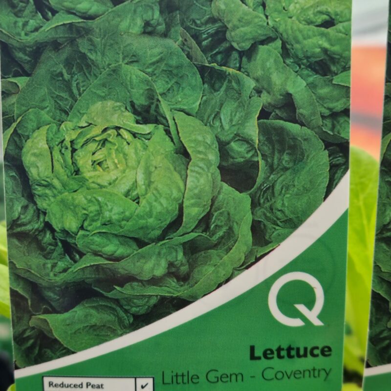 Lettuce-Little-Gem-Coventry-Multi-Strip-Pack