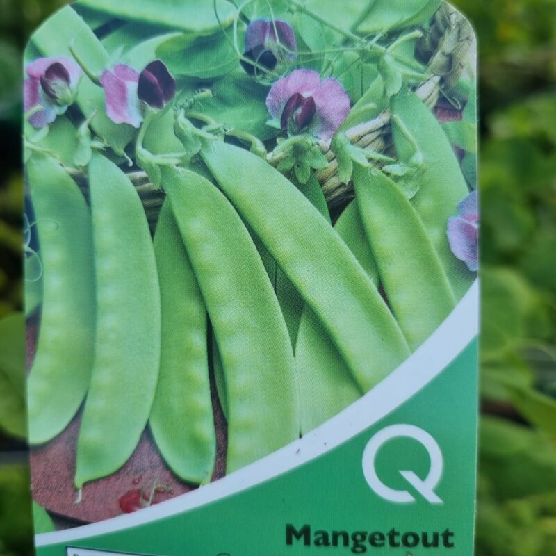 Mangetout-Carouby-De-Mausanne Multi strip Pack