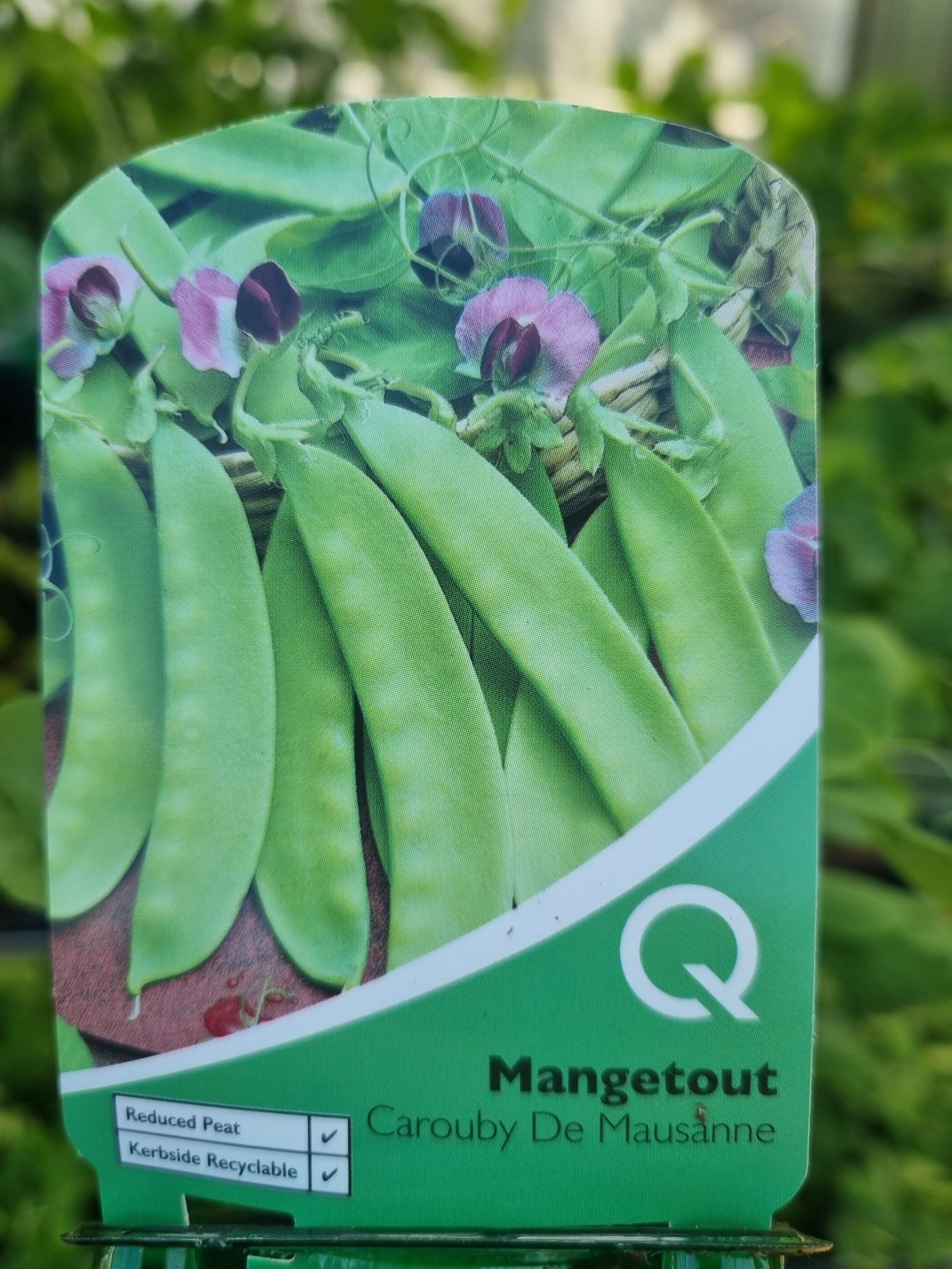 MangetoutCaroubyDeMausanne Multi strip Pack Holland House Garden