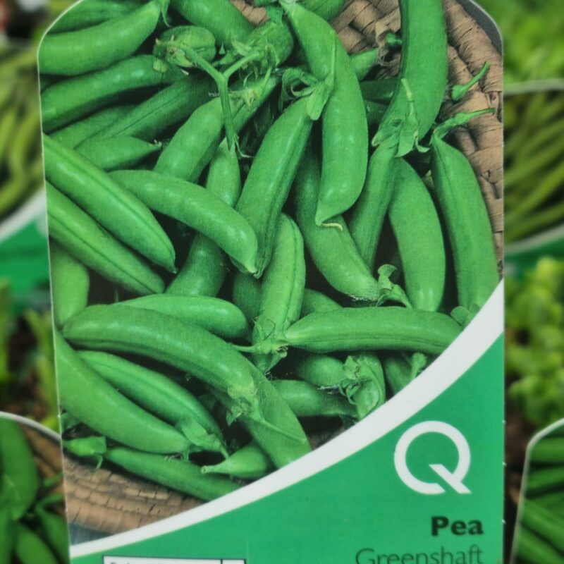 Pea-Greenshaft-Multi-Strip-Pack