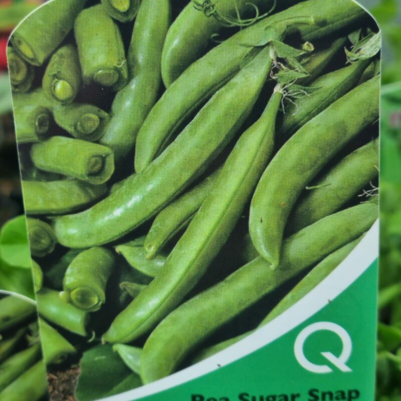 Pea-Sugar-Snap-Multi-Strip-Pack